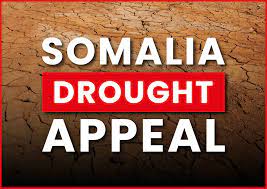 Somalia Drought Fundraiser
