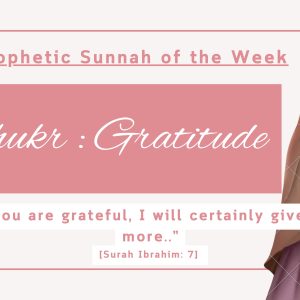 Sunnah of the Week (3) – Gratitude (Shukr) Sunnah of the Week (3) – Gratitude (Shukr)