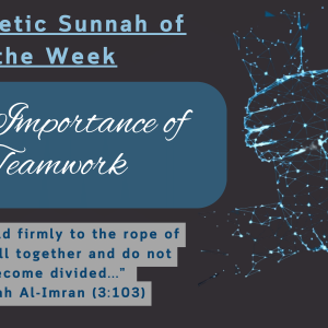 Sunnah of the Week (23) – The Importance of Teamwork