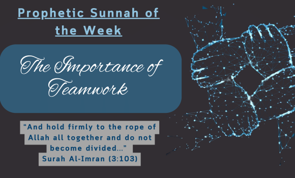 Sunnah of the Week (23) – The Importance of Teamwork