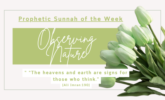 Sunnah of the Week (40) – Observing Nature
